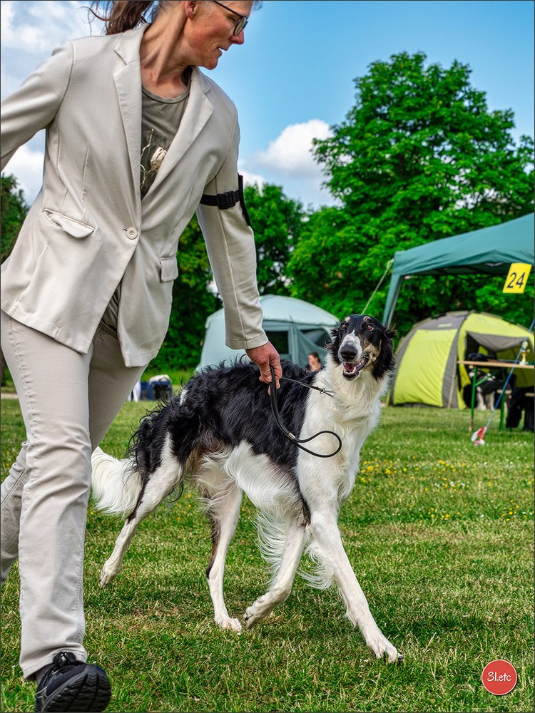 Dog Show Rieden 🇩🇪 16-18/05/2025. Photographe à Strasbourg | Portraits, Studio, Enfants, Événements