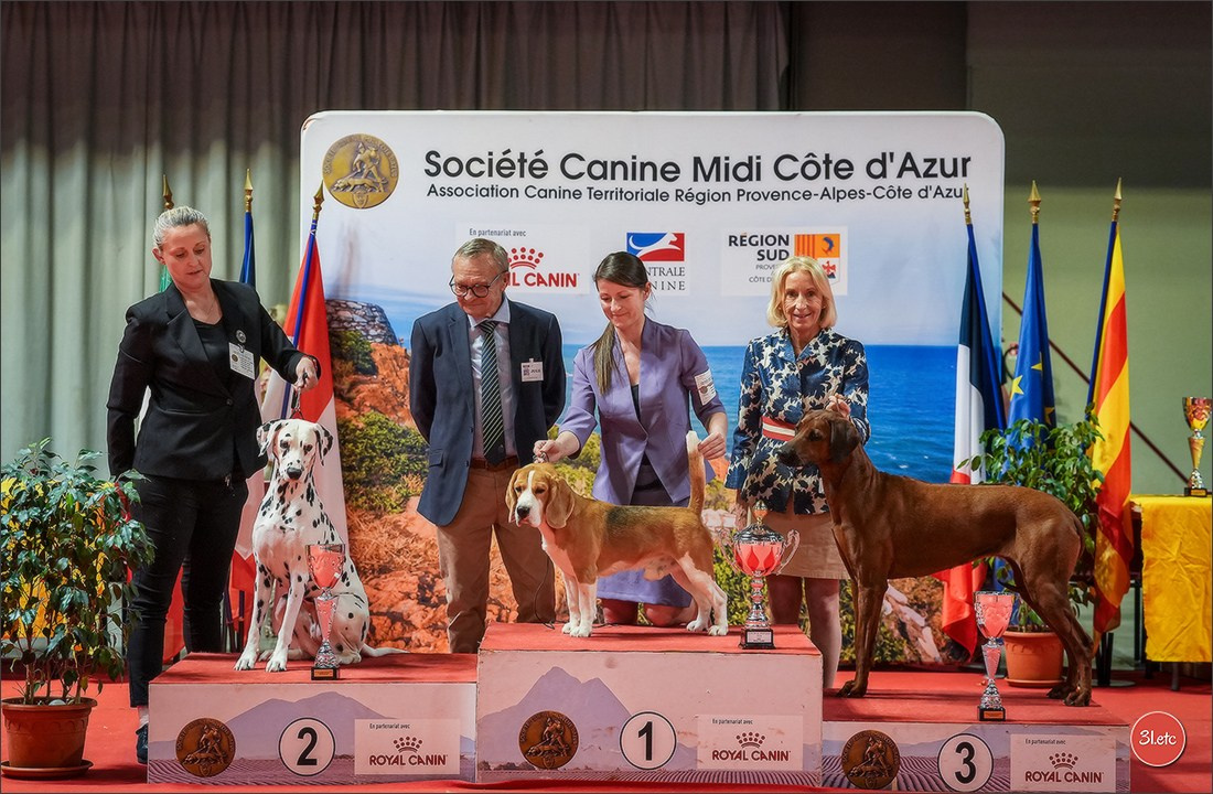 Expo canine 🇫🇷 Martigues 18-19/04/2026