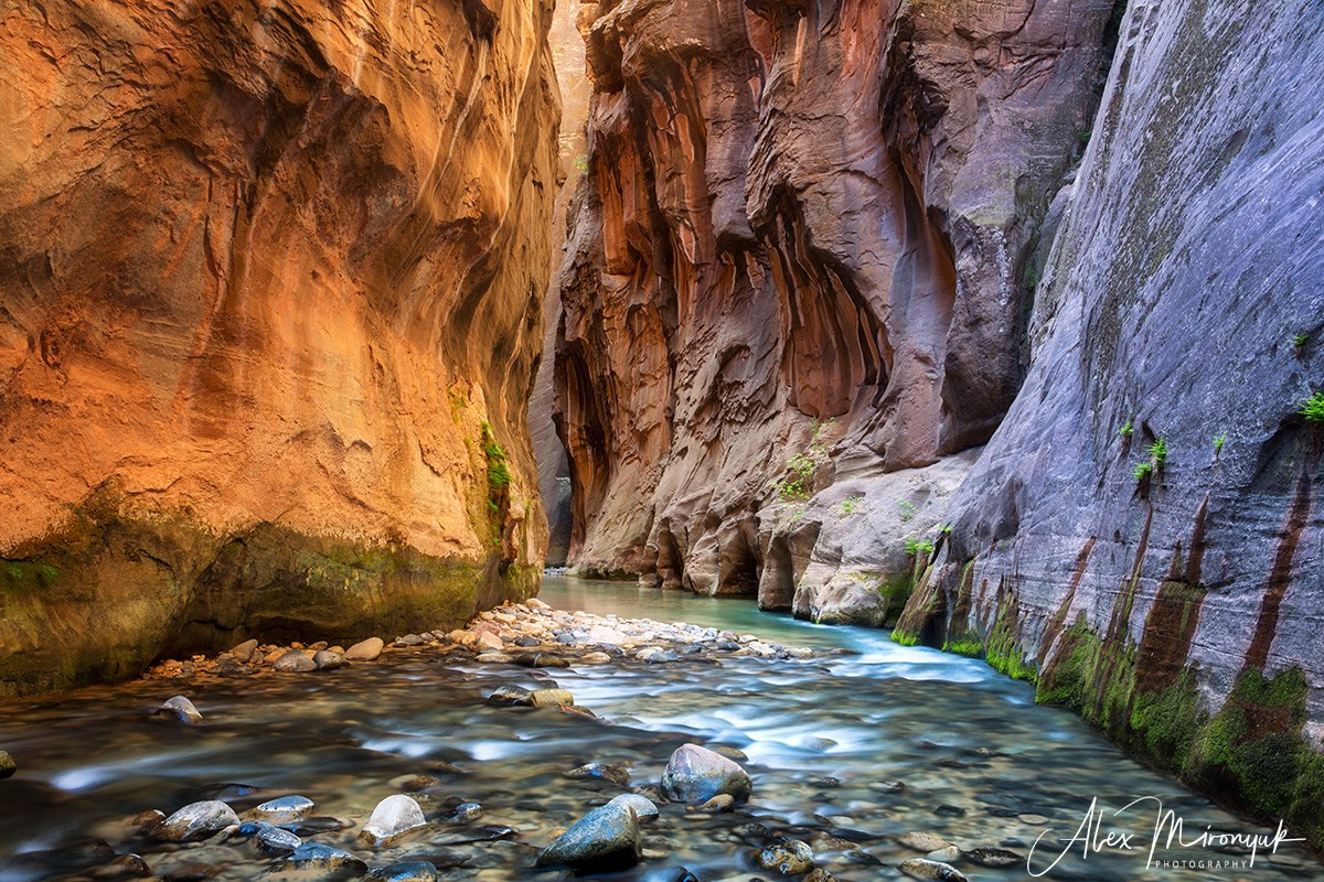 New Year In Utah. Pet, Senior, Landscape, portrait studio, photographer in Miami and Sou