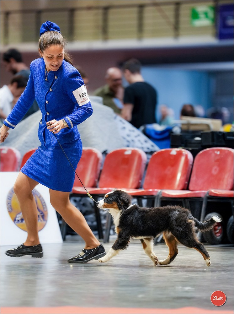 Expo canine 🇫🇷 Martigues 18-19/04/2026