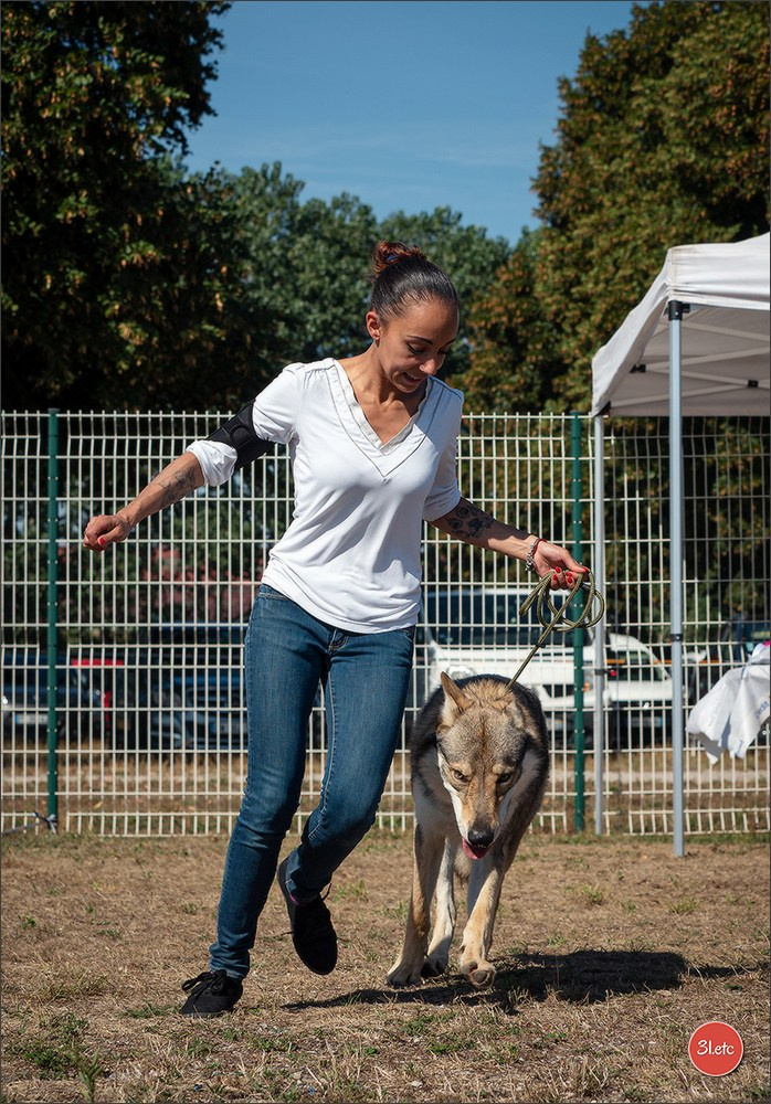 Photographie animalière. Photographe à Strasbourg | Portraits, Studio, Enfants, Événements