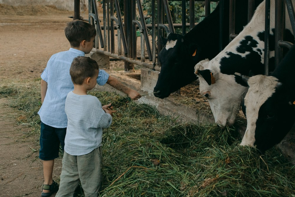 Farm. Anastasiia Buchinskaia Fotografa Milano
