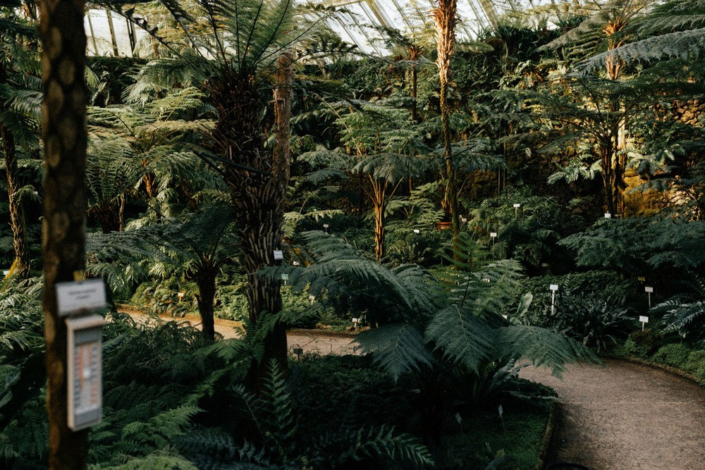 Berlin 🇩🇪. Photokostin.com