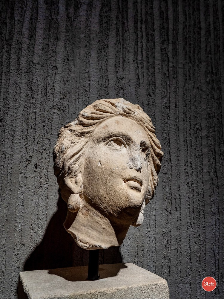 Poitiers 🇫🇷. Photographe à Strasbourg | Portraits, Studio, Enfants, Événements