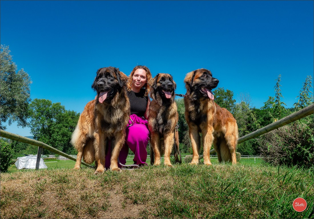 🇨🇭 Geneva Dog Show 15-17/11/2024. Photographe à Strasbourg | Portraits, Studio, Enfants, Événements