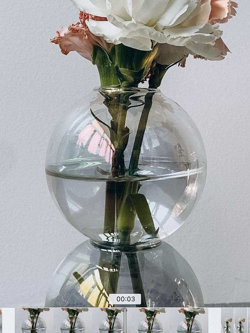 Фотостудия. Фотограф в Варшаве Мария Волкова