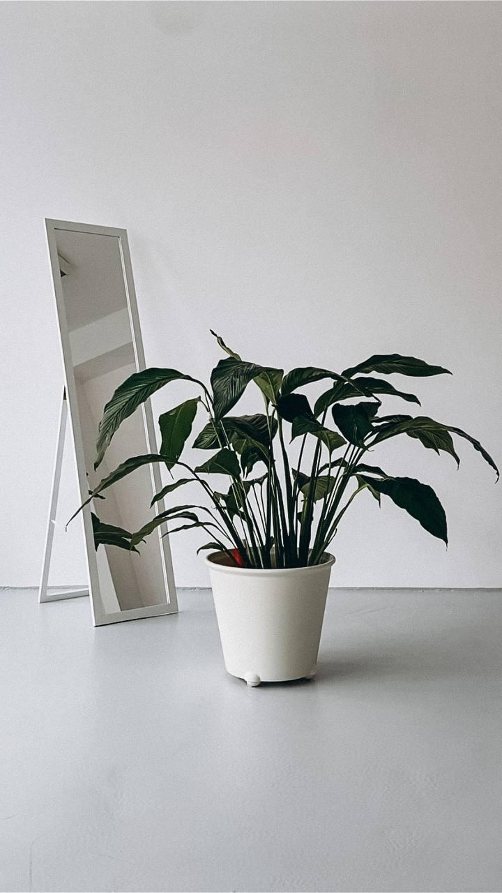 Фотостудия. Фотограф в Варшаве Мария Волкова