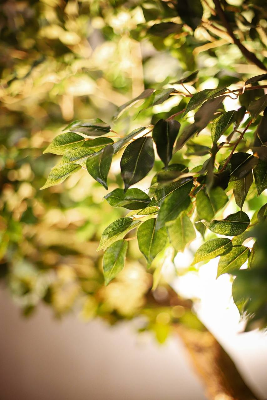 LD. VALERIIA VIUNOVA individual shooting\love story\event\brand