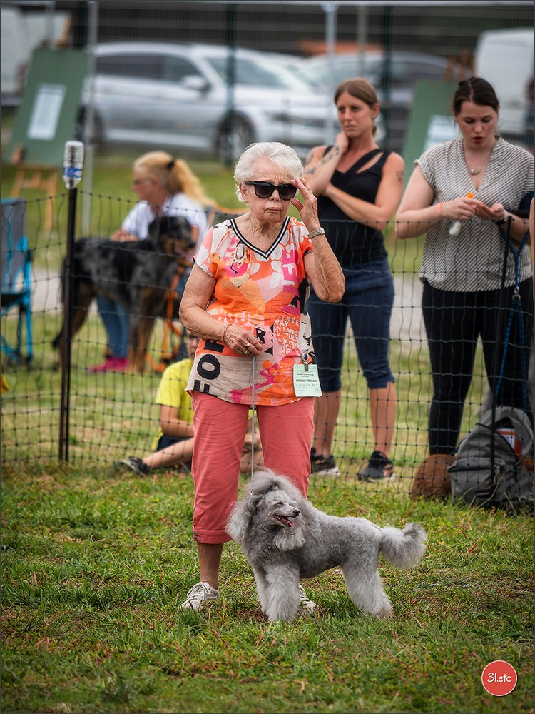 Photographie animalière. Photographe à Strasbourg | Portraits, Studio, Enfants, Événements