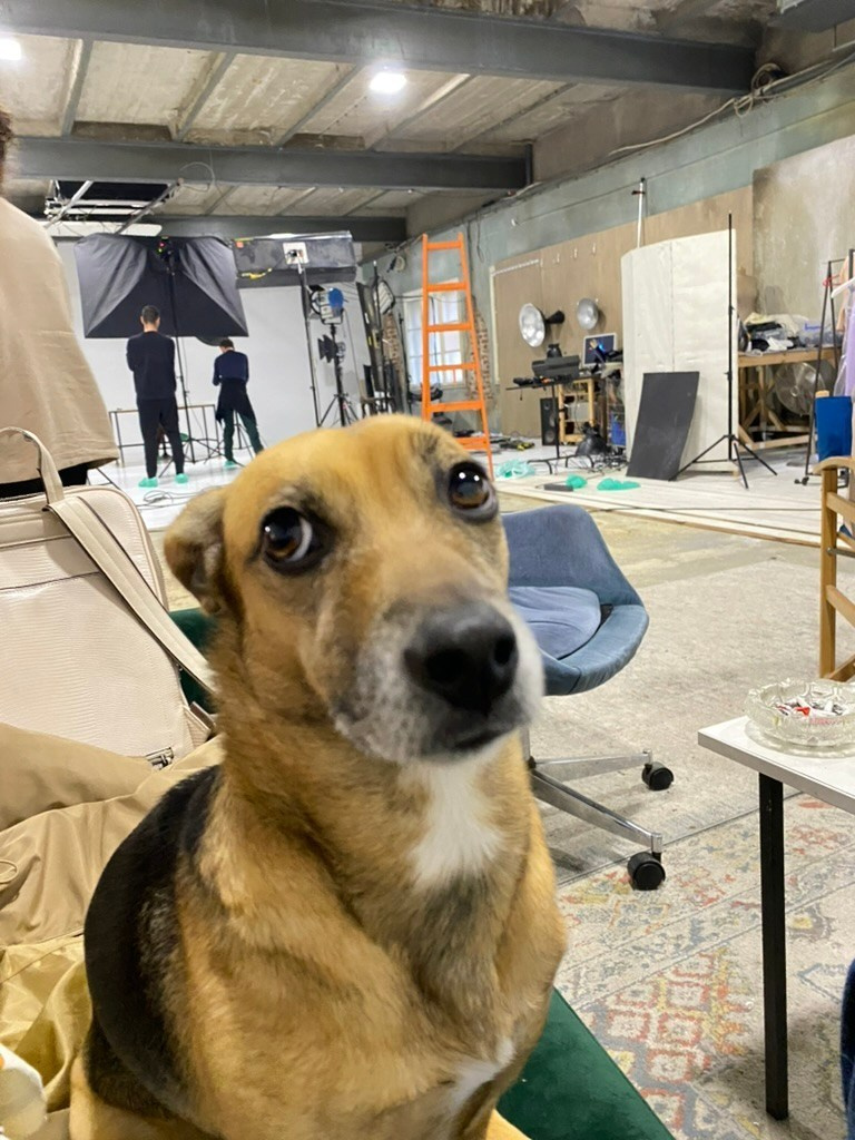 Studio Photogenic. Commercial and studio photographer in Belgrade