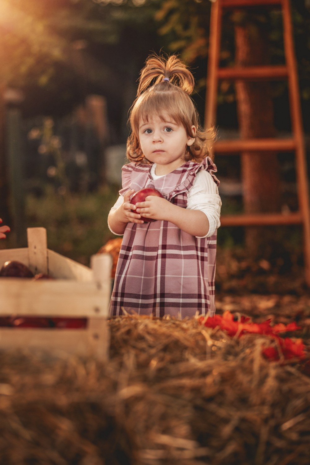 JESENJE FOTOGRAFISANJE. Fotografi iz Backog Petrovca David i Andrea Stojanovic