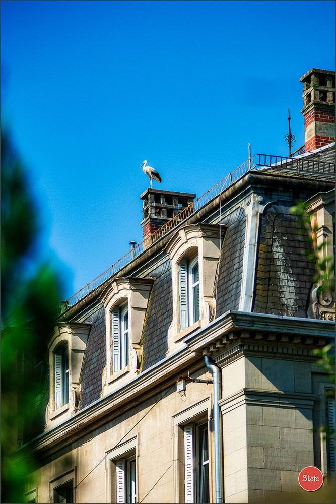 Просто шел по Страсбургу. Photographe à Strasbourg | Portraits, Studio, Enfants, Événements