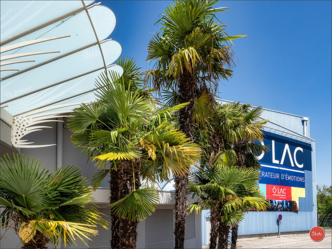 Expo canine 🇫🇷 Valence 03-04/05/2025. Photographe à Strasbourg | Portraits, Studio, Enfants, Événements