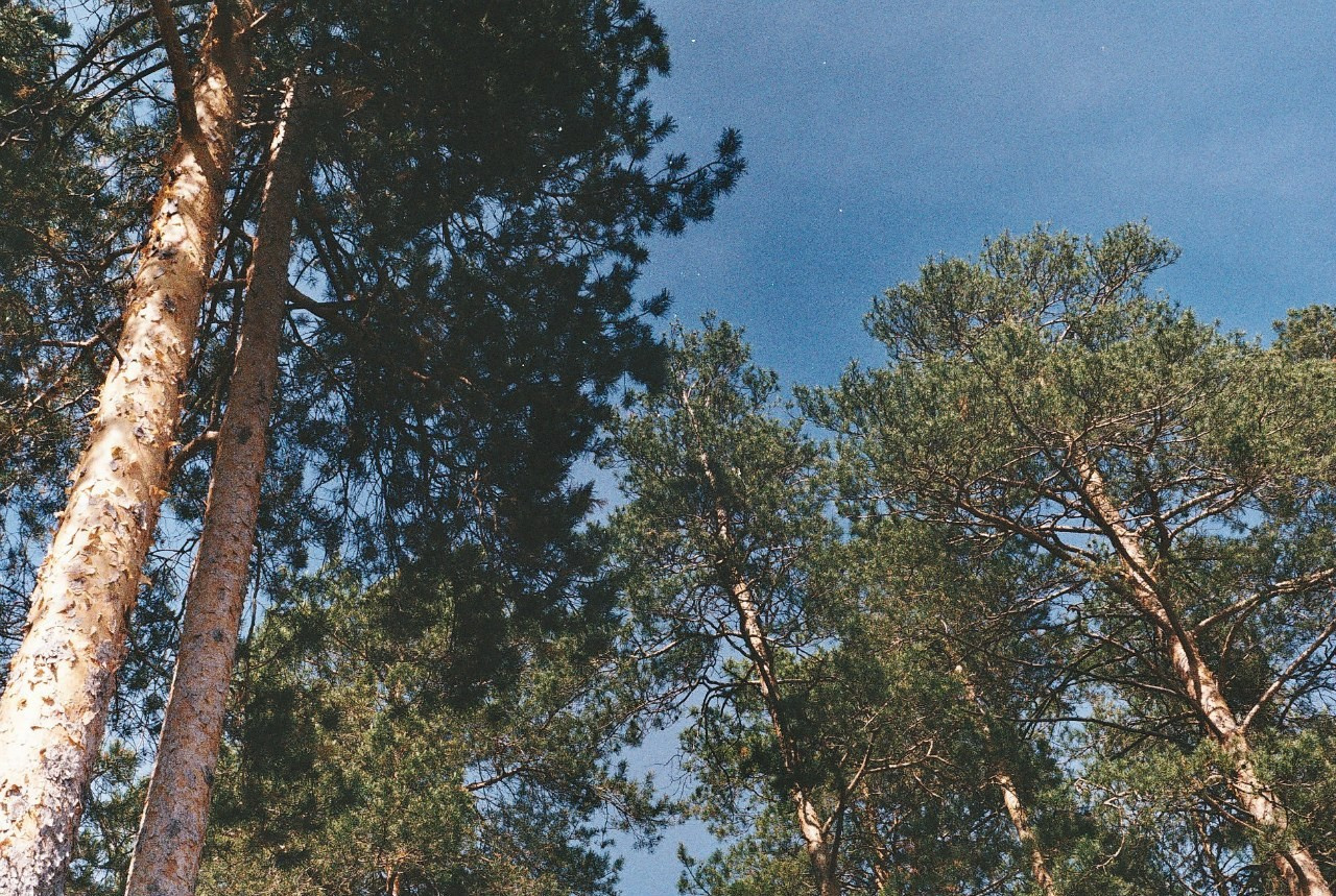 Ochyor (Perm region, Russia) 2013. Elena Zykova film photographer in London