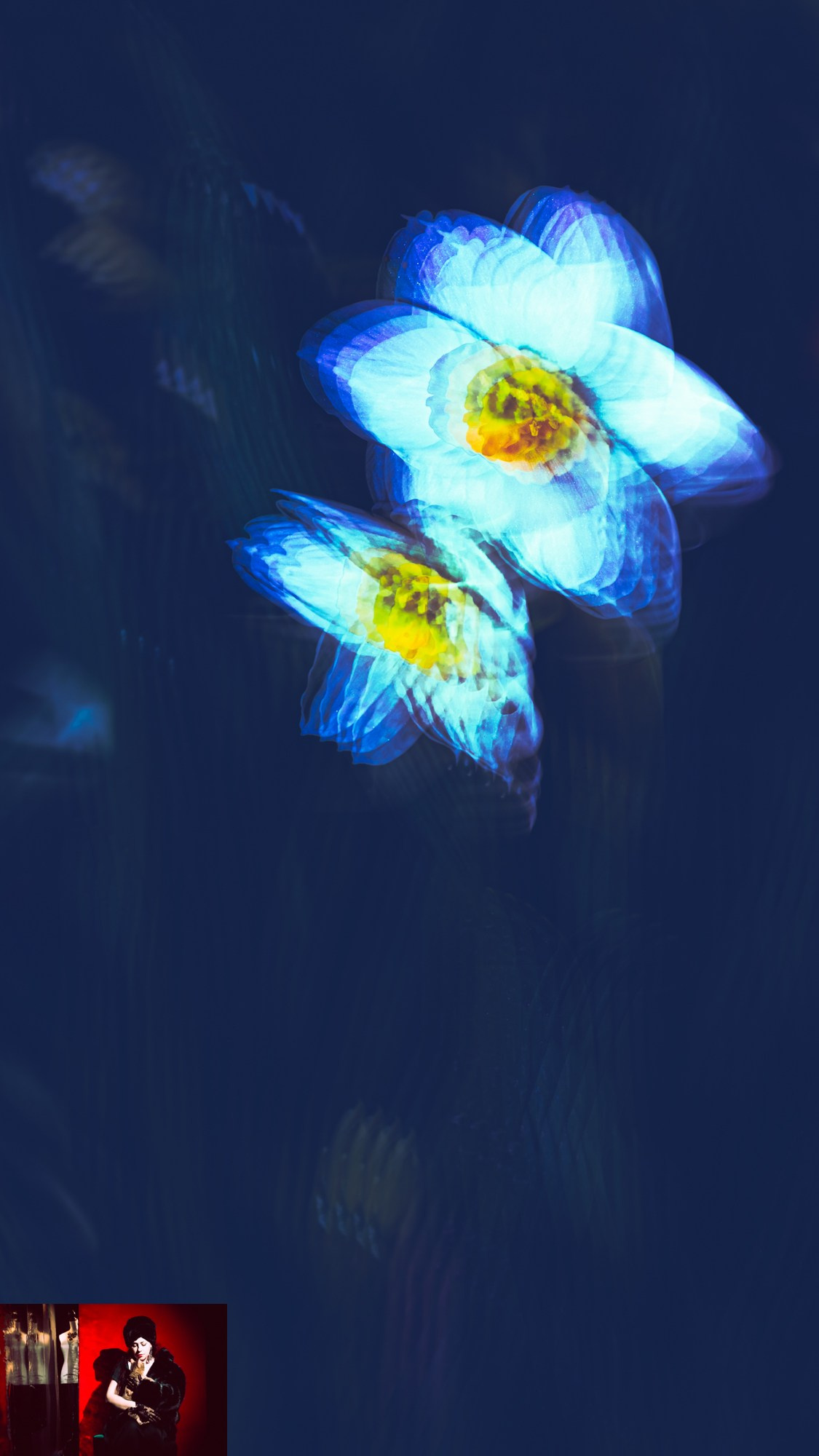 Portraits of Park Residents. Ekaterina Tsurkina-Appina Photography Canada