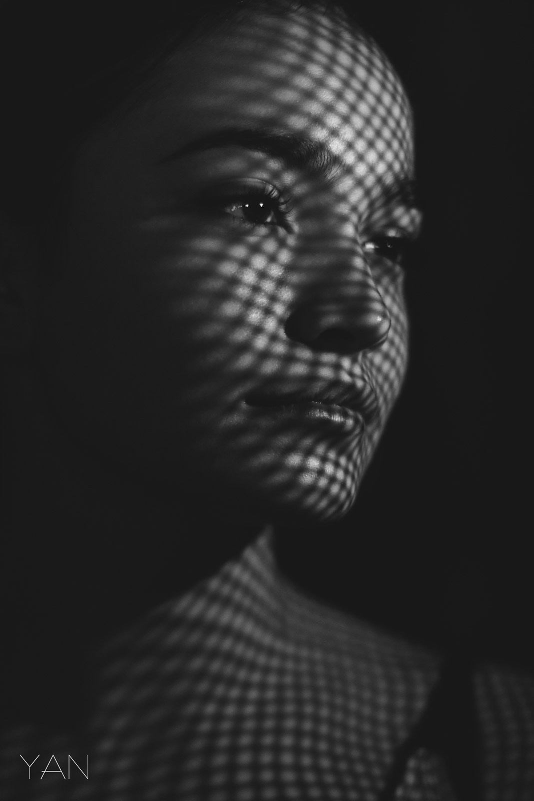 Shadows. The-yan.com