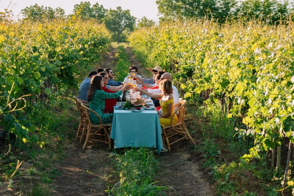 Vazisubani Estate. Главная