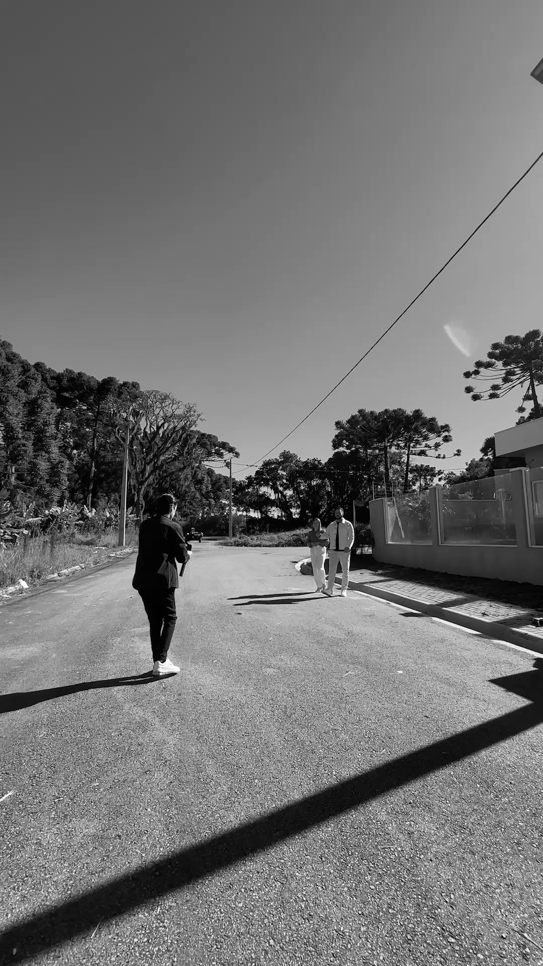 Alexandria Visual