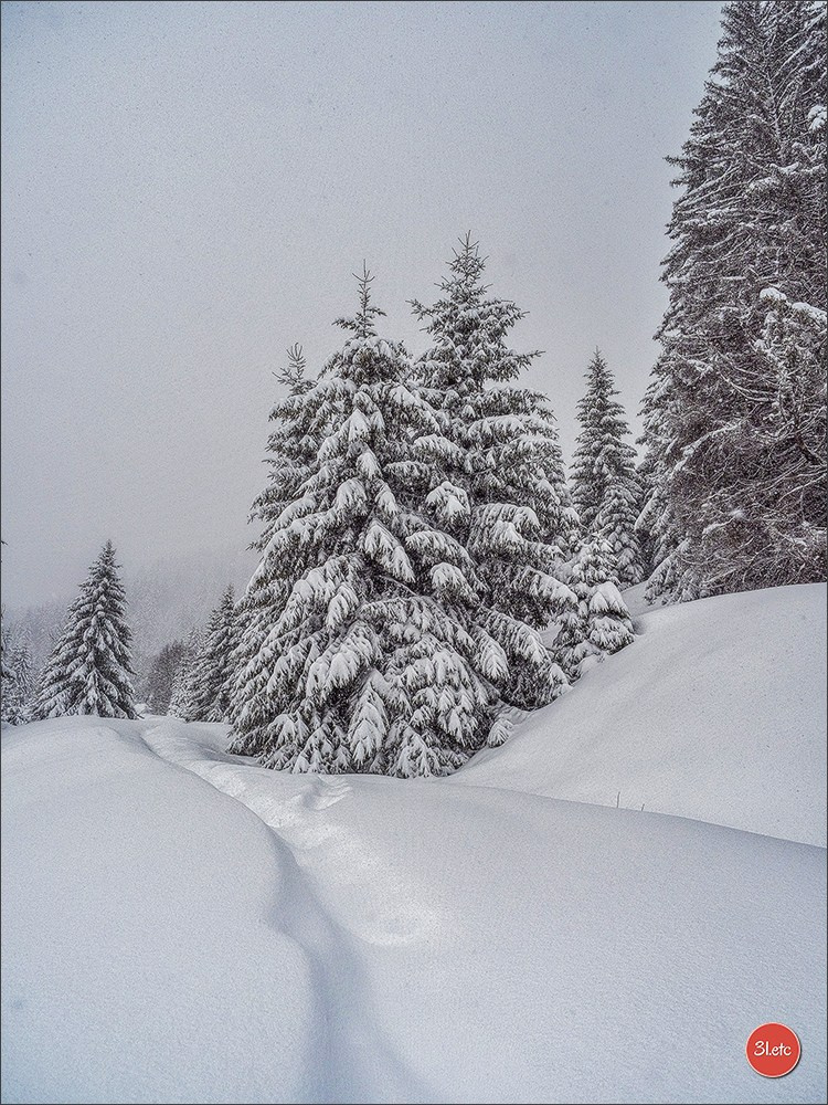 Swiss. Photographe à Strasbourg | Portraits, Studio, Enfants, Événements
