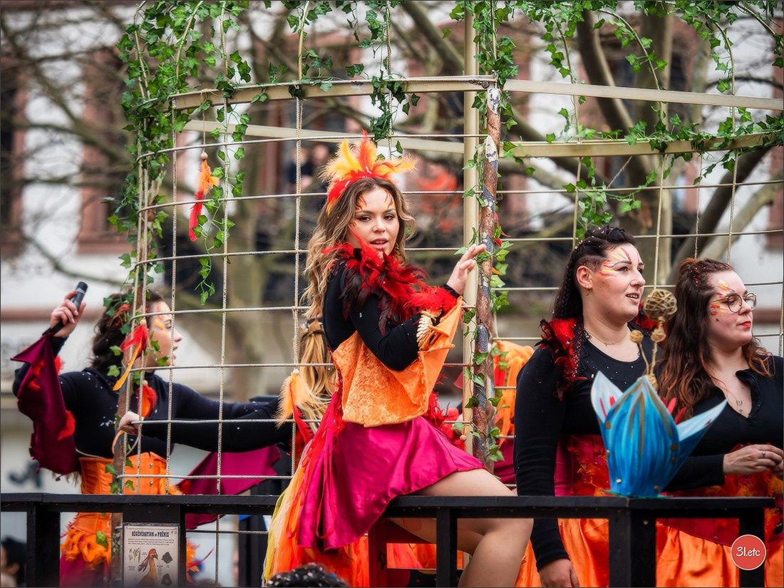 Traditional February carnival. Music, dancing, costume performances. C. Photographe à Strasbourg | Portraits, Studio, Enfants, Événements