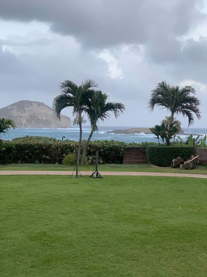 Lens Work From Field  1