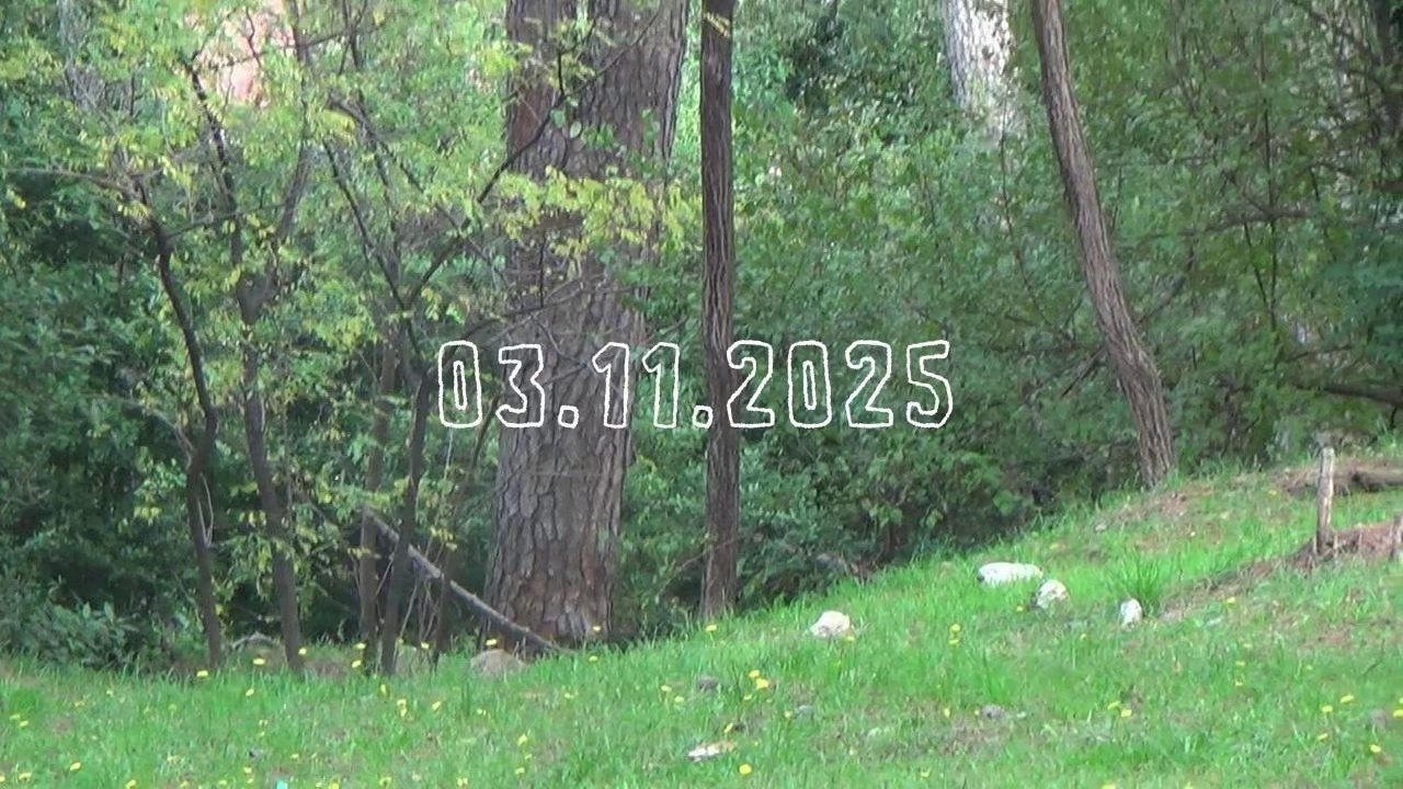 Fashion and music video direction. Minimalist brand photographer & videographer | Raw sincerity. Pure Form