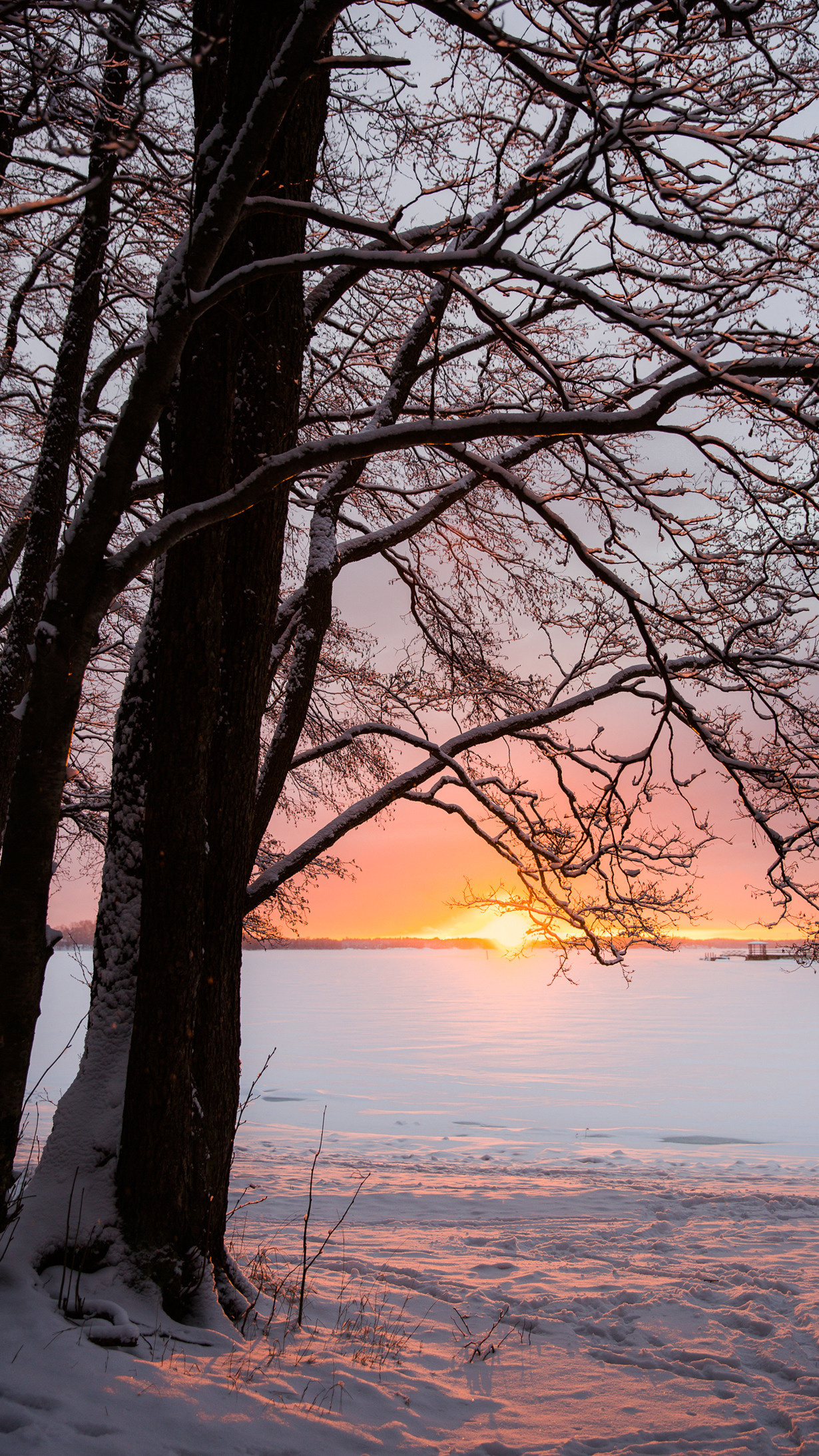 Backgrounds for Your Phone