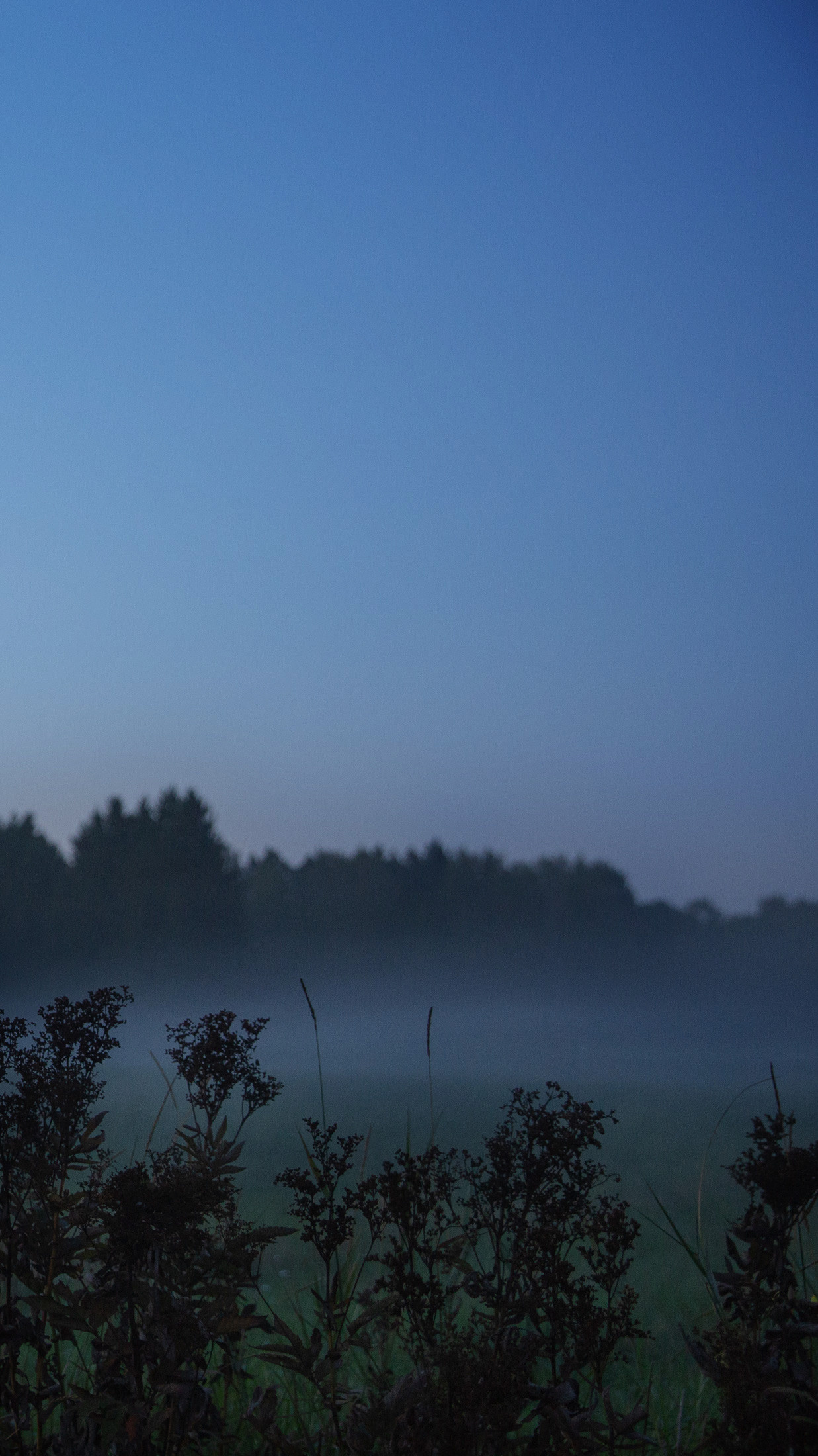 Backgrounds for Your Phone