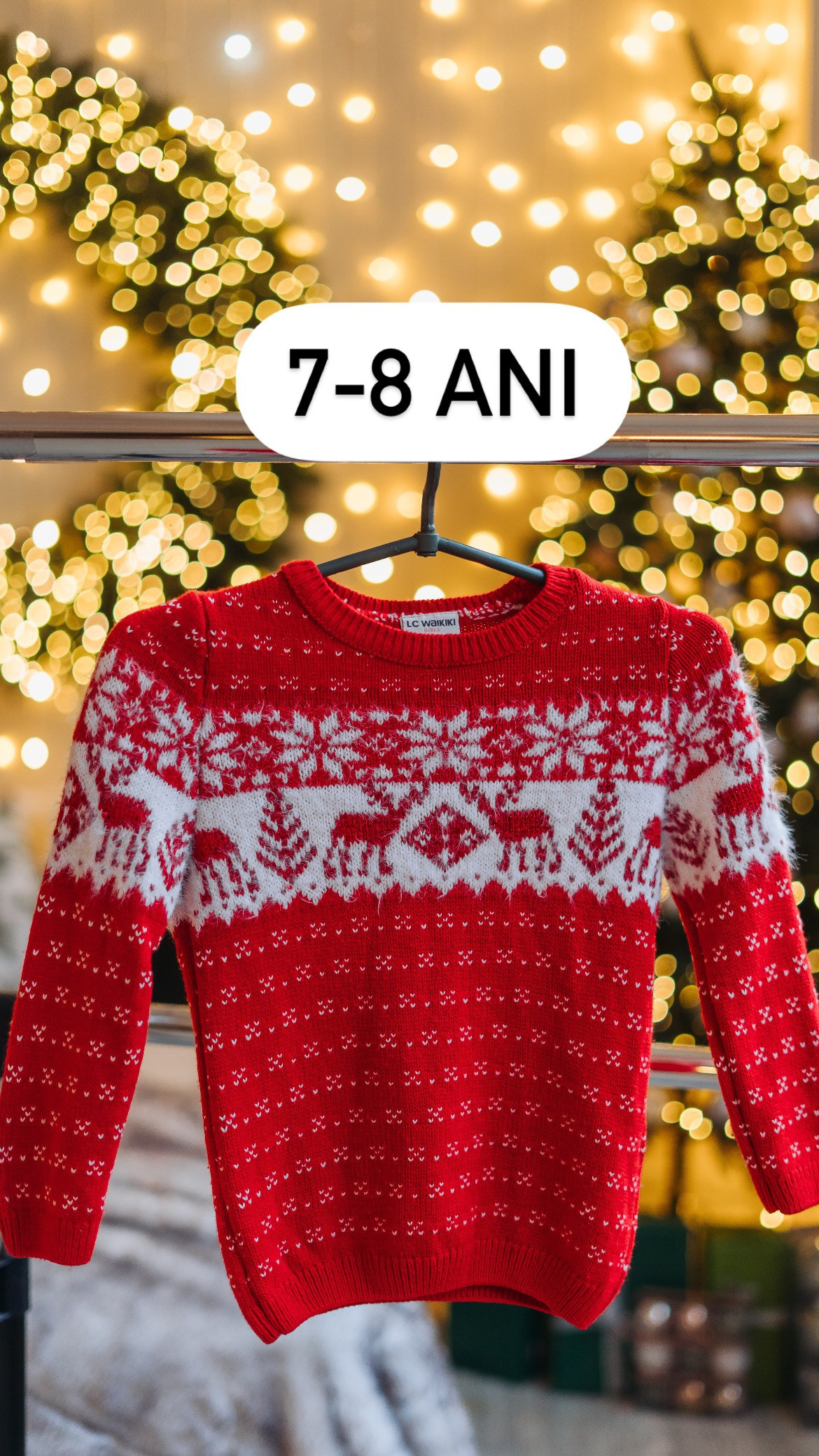 Sesiune foto de Crăciun (2). Diana Muntean Photography