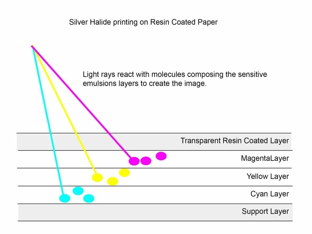 Fotogrāmata no īsta fotopapīra