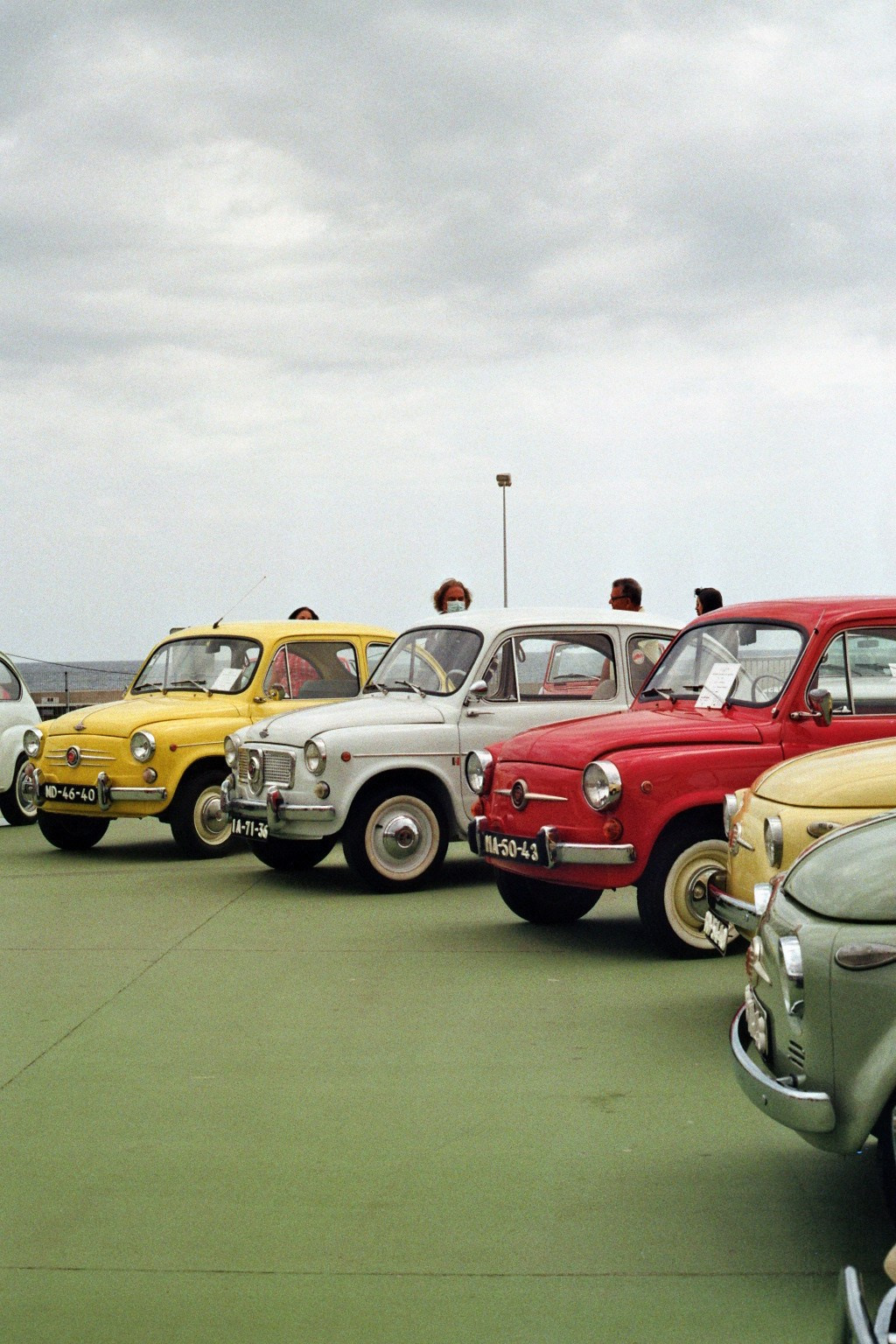 Madeira on film. Portrait photographer in Madeira — Marina Shtukina