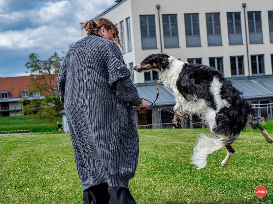 Dog Show Rieden 🇩🇪 16-18/05/2025. Photographe à Strasbourg | Portraits, Studio, Enfants, Événements