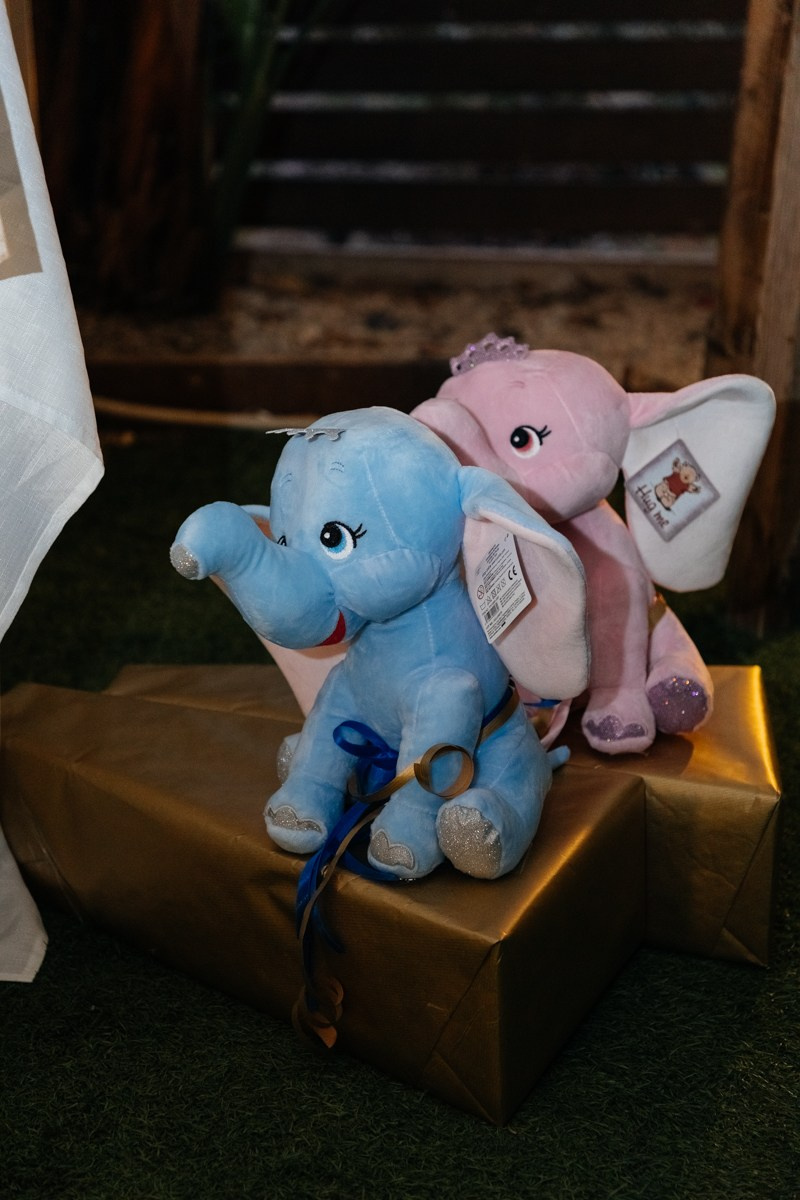 Double Christening of R & Z. Destination wedding photographer in Netherlands, Germany, Italy, Greece & Europe-Tina Yalova