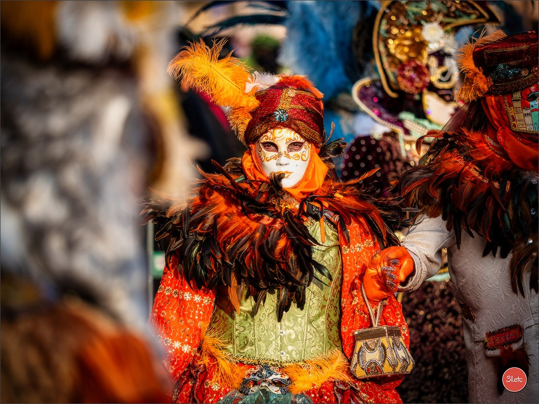 Carnaval vénitien de Rosheim 2026. Photographe à Strasbourg | Portraits, Studio, Enfants, Événements