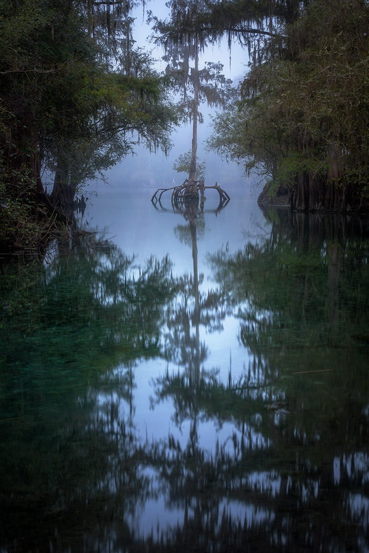 Exploring True Florida: Springs, Rivers & Manatees by Canoe. Pet, Senior, Landscape, portrait studio, photographer in Miami and Sou