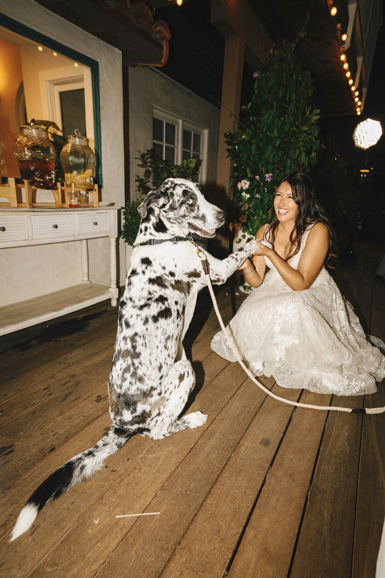 Wedding Photography & Videography Team in California, Los Angeles, San Francisco, San Diego and Travel