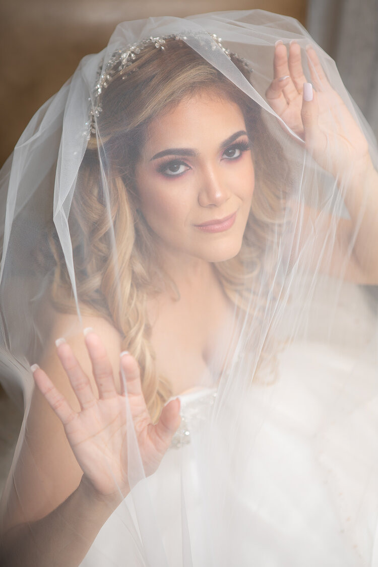 portrait of the bride under the veil