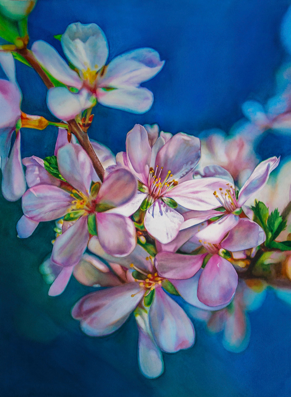Bloemen. Aljona art - KUNST in Overijsel, Zwolle