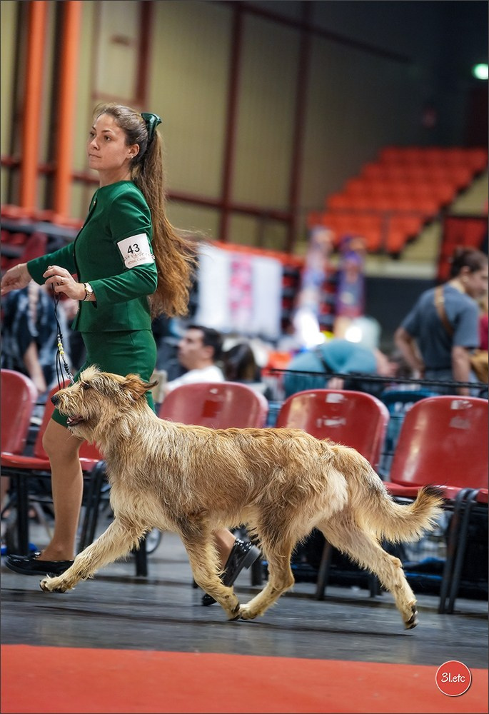 Expo canine 🇫🇷 Martigues 18-19/04/2026