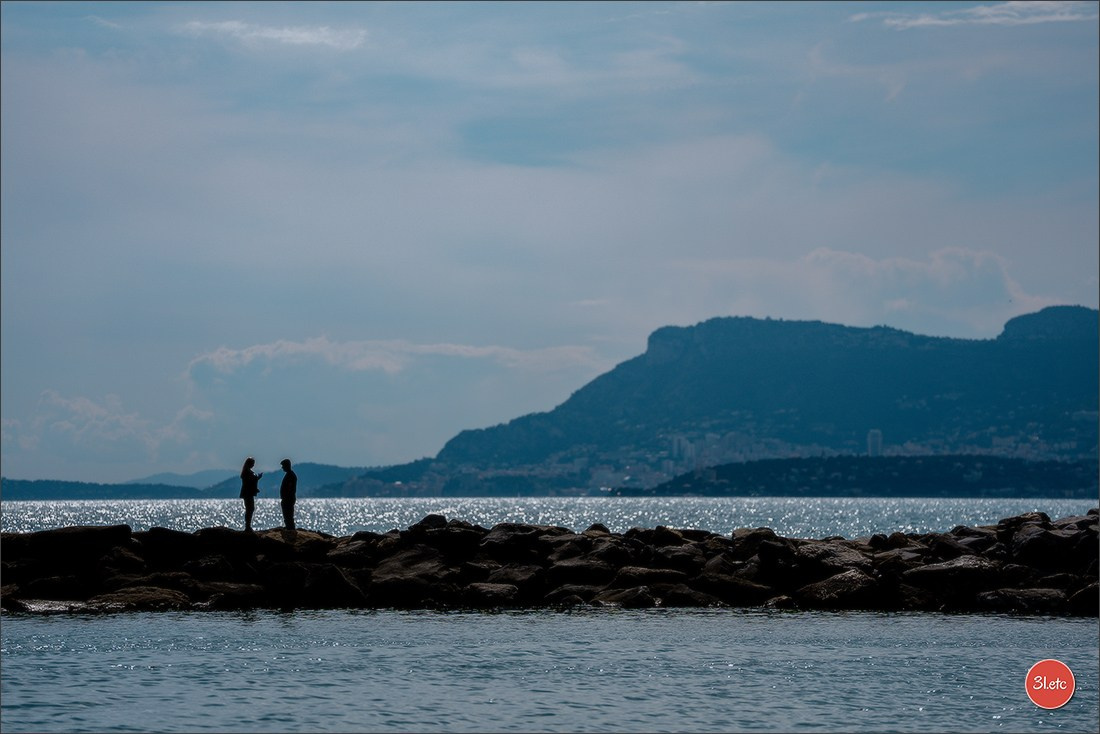 Expo canine 🇲🇨 Monaco 9-10/05/2026. Photographe à Strasbourg | Les animaux, Portraits, Studio, Événements