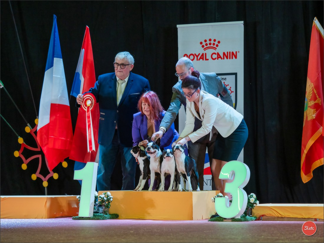 🇫🇷Exposition Canine Internationale de Perpignan. Photographe à Strasbourg | Portraits, Studio, Enfants, Événements
