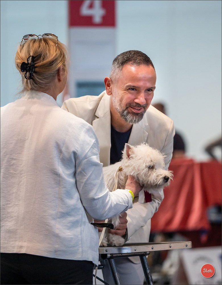 Expo canine   🇫🇷   Mulhouse 5-6/04/2025. Photographe à Strasbourg | Portraits, Studio, Enfants, Événements