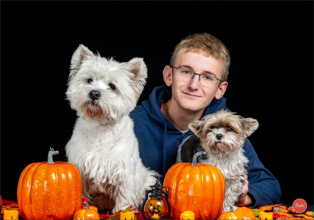 Séance photo d'Halloween dans un salon de toilettage https://pood-els.com/ à Strasbourg. Photographe à Strasbourg | Portraits, Studio, Enfants, Événements