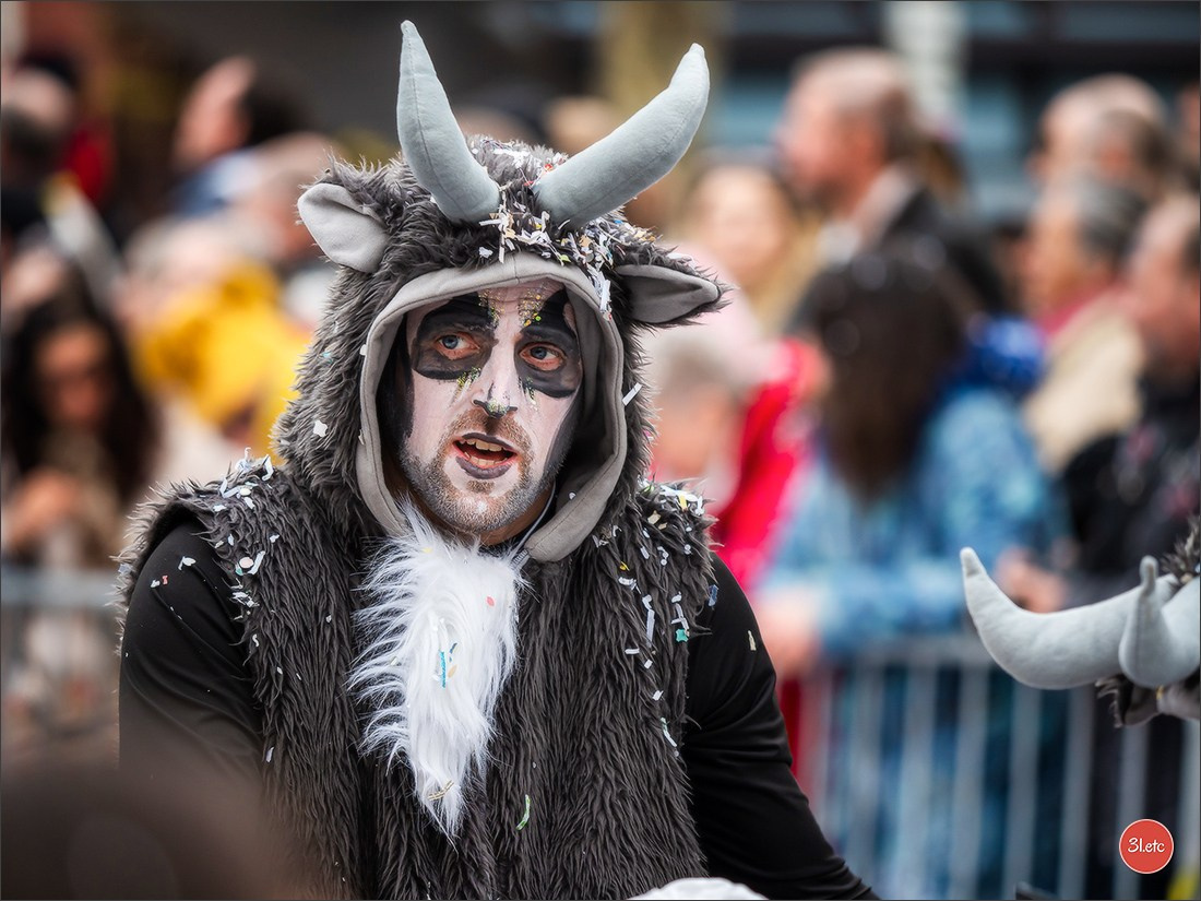Traditional February carnival. Music, dancing, costume performances. C. Photographe à Strasbourg | Portraits, Studio, Enfants, Événements