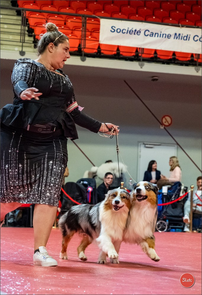 Expo canine 🇫🇷 Martigues  19-20/04/2025. Photographe à Strasbourg | Portraits, Studio, Enfants, Événements