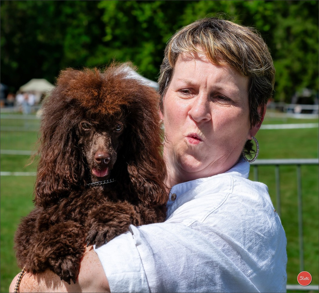 🇫🇷 Romorantin - Exposition Canine Nationale. Photographe à Strasbourg | Portraits, Studio, Enfants, Événements
