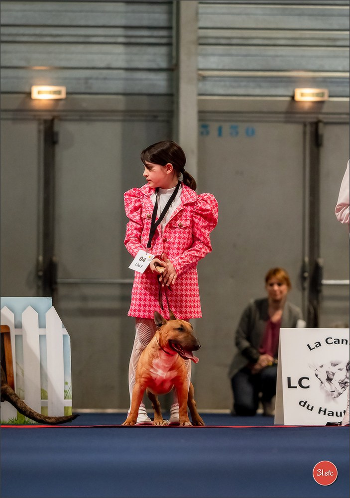 Expo canine   🇫🇷   Mulhouse 5-6/04/2025. Photographe à Strasbourg | Portraits, Studio, Enfants, Événements