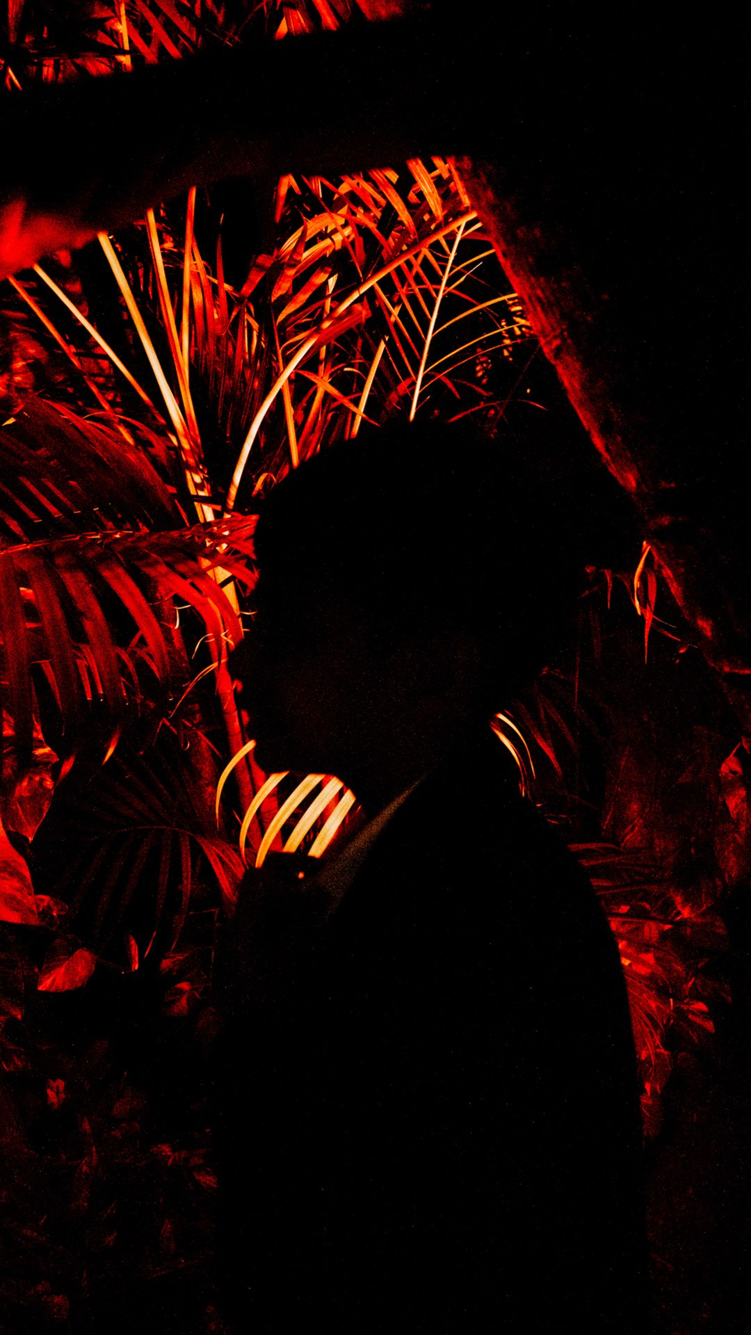 Rachi & Arjun. Elopement & Lifestyle Wedding Photographer