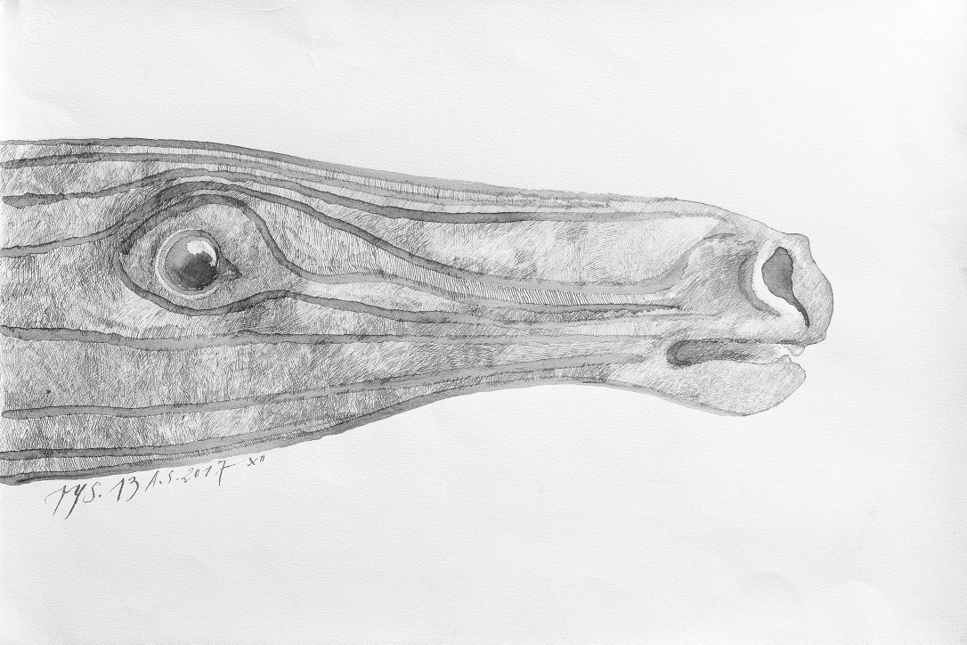 Końskie głowy - cykl 2016 - 2018. Andrzej Strumiłło - Wybitny polski artysta