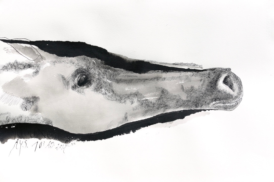 Końskie głowy - cykl 2016 - 2018. Andrzej Strumiłło - Wybitny polski artysta